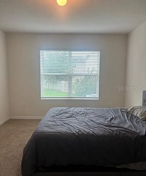 32696 Pez Landing Ln — Photo 25