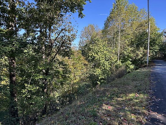 4th image of LOT 449 Mountain Tops Rd