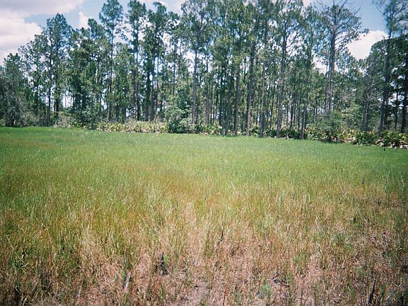 lot is in front of trees