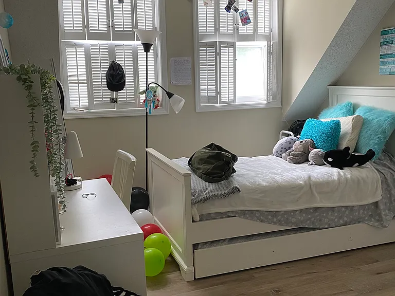 Guest bed