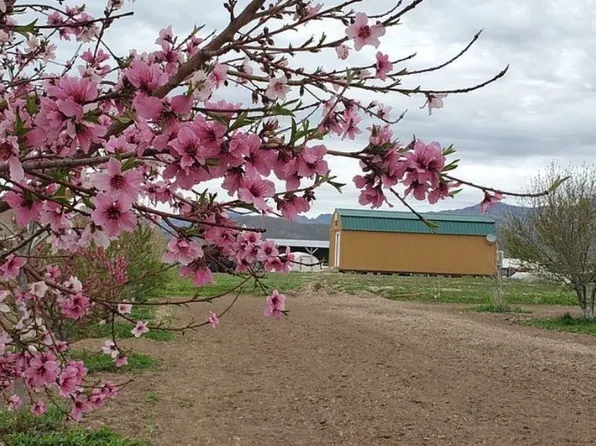 13915 N Us Highway 70, Fort Thomas, AZ 85536