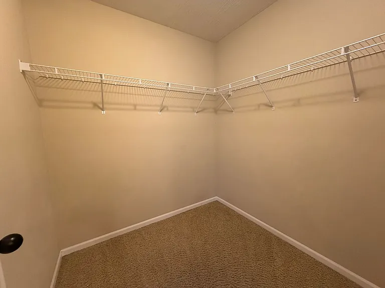 161 Lyle Curtis Cir — Photo 21