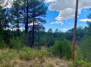 338 Chaucer Dr, Cloudcroft, NM 88350
