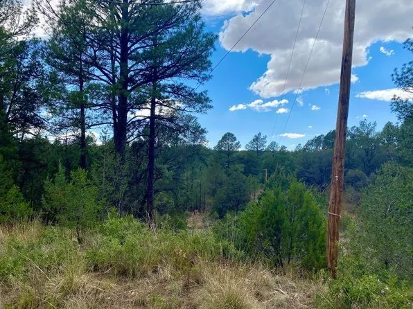338 Chaucer Dr, Cloudcroft, NM 88350
