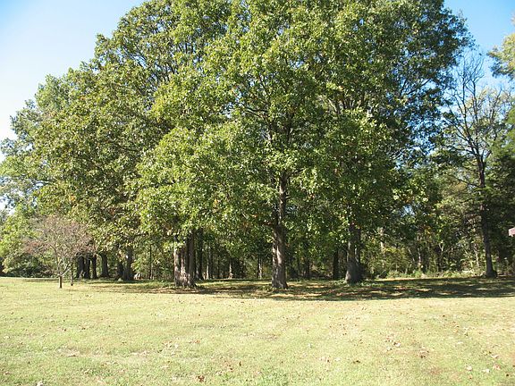 Wooded back acreage.