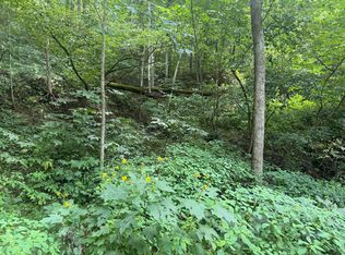 0 Horsepen Rd, Sevierville, TN 37876
