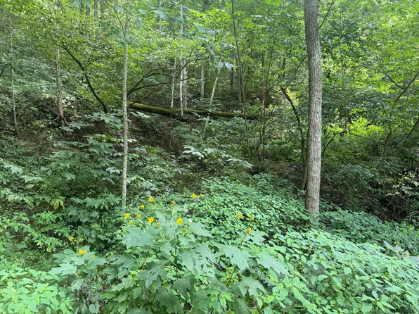 0 Horsepen Rd, Sevierville, TN 37876
