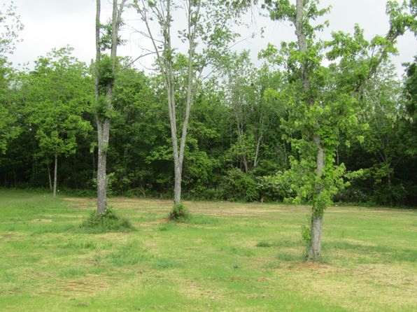 308 Ostella Rd LOT 2, Cornersville, TN 37047