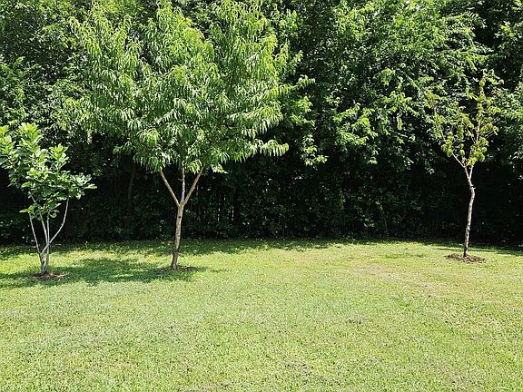 4th image of 1529 Meridian Way