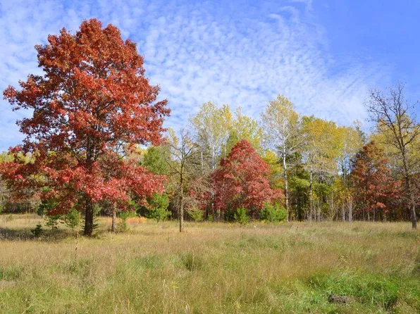 Grant St, Park Rapids, MN 56470