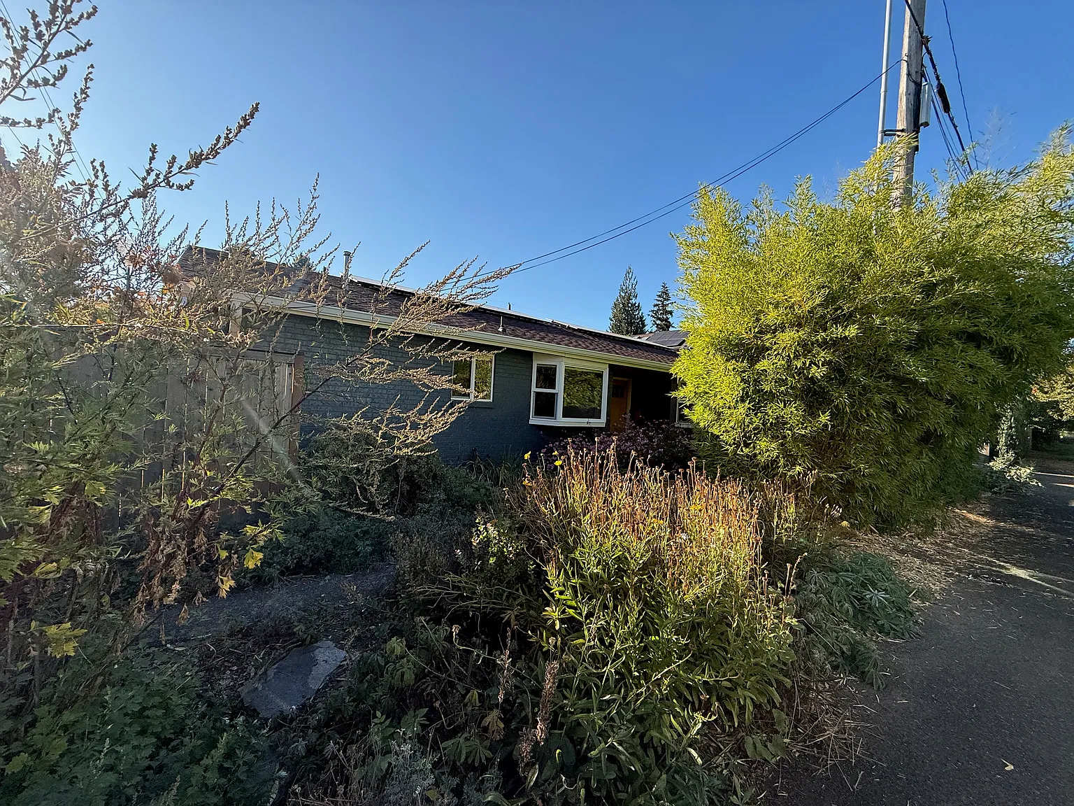 2 bed, 900 sqft, $2,500 — Photo 2