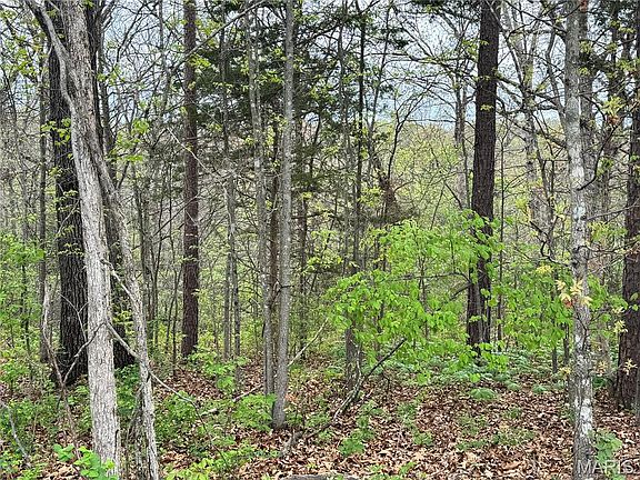 2nd image of 30738 N Stringtown Rd