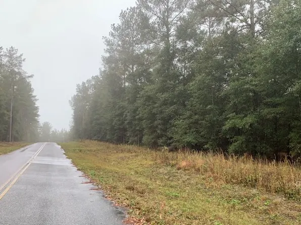 Tbd 49th Dr, Wellborn, FL 32094