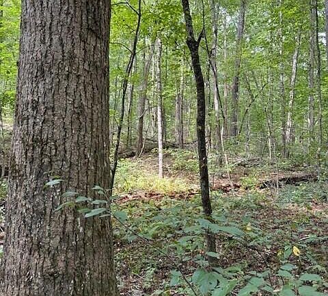 2nd image of 1 Tipple Rd Lot 1