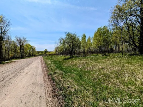 LOT 15 Willow St Lot 15, Gaastra, MI 49927