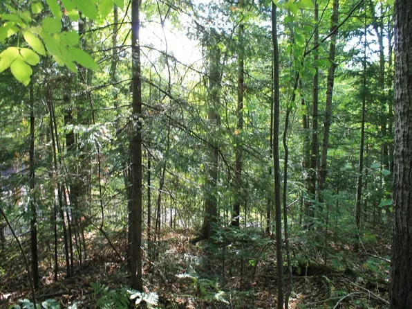 LOT 16 Alpine Dr, Upson, WI 54565