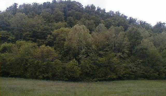 2nd image of 0 Neeley Creek Rd Lot 7