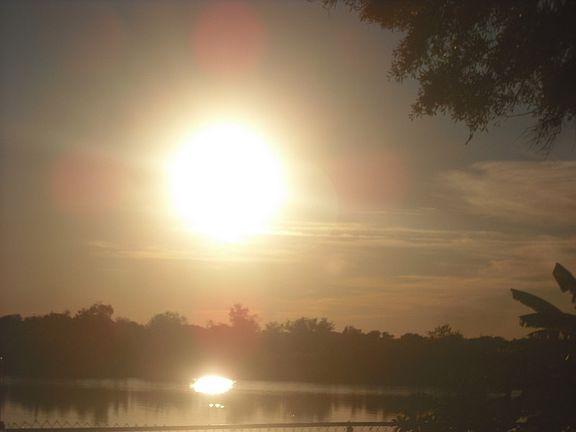 On the Kissimmi River