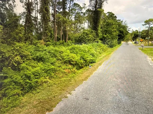 Fig Leaf St Lot 30, Saint Cloud, FL 34771