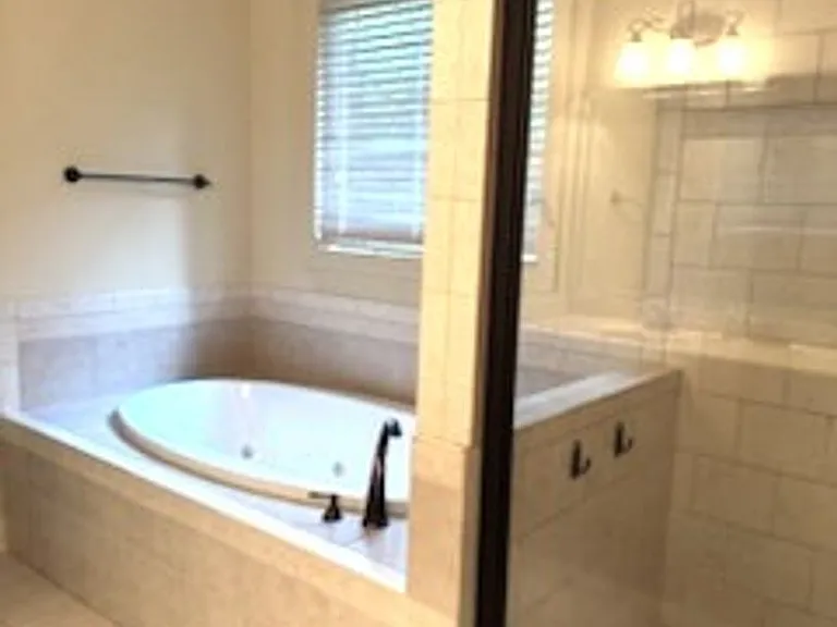 217 Asheton Lakes Way — Photo 10