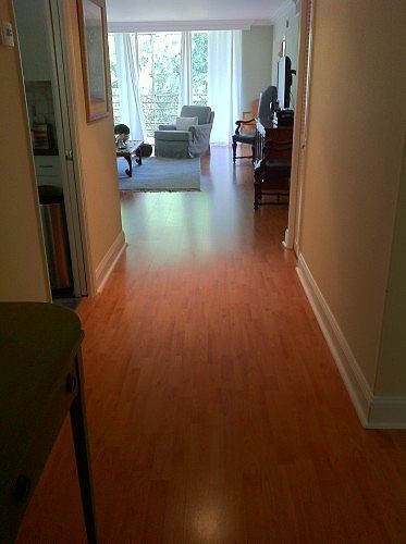1st image of 901 Cypress Ter APT 201