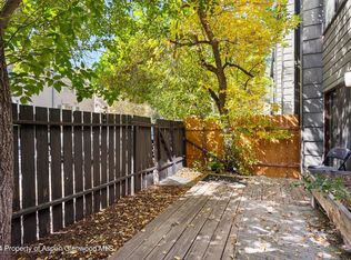 725 E Main St #101, Aspen, CO 81611