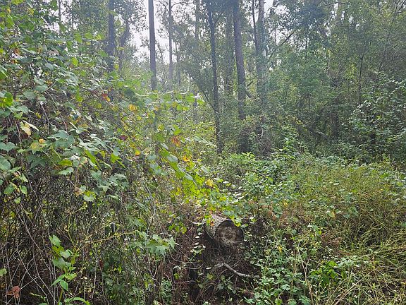 3rd image of 0 181st Rd