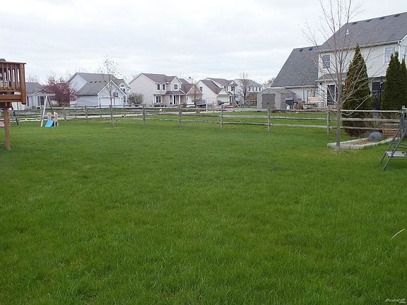 Backyard (D)
