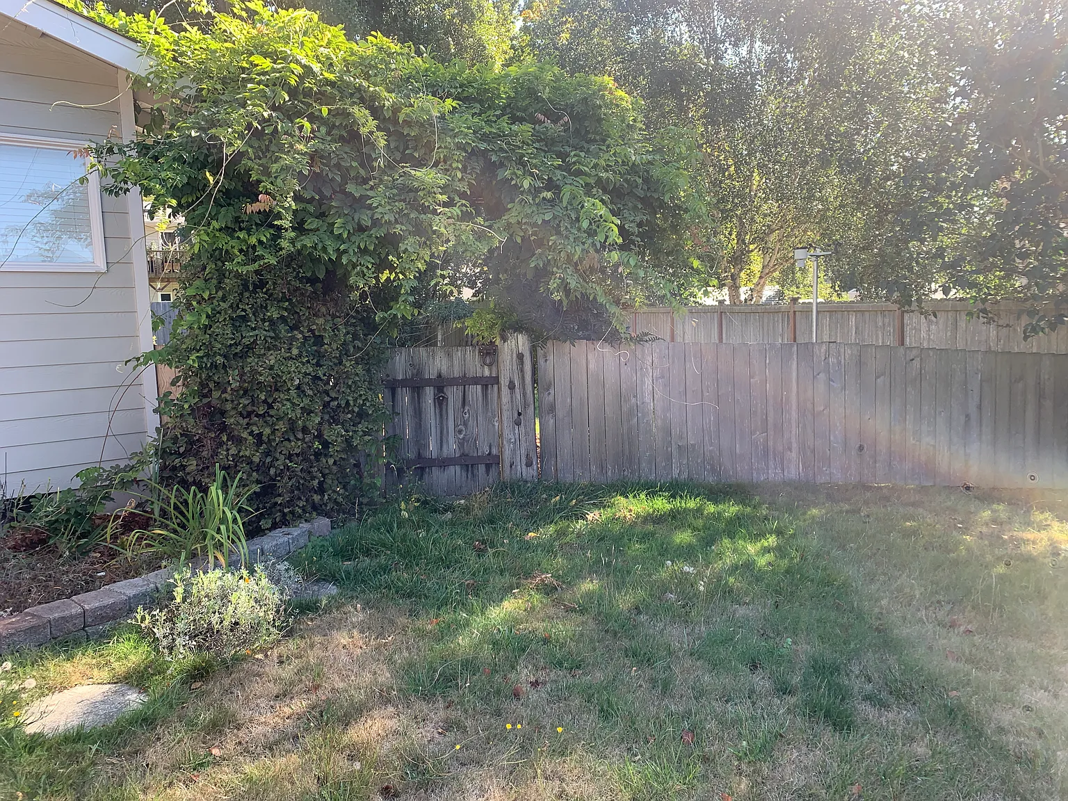 3 bed, 1596 sqft, $3,000 — Photo 2