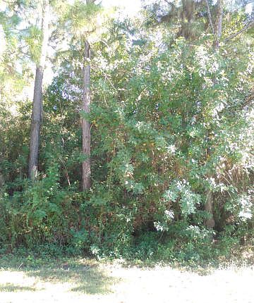 1st image of 2925 SW Bright St