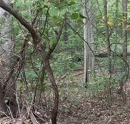 2nd image of 1145 Embry Ct #1145