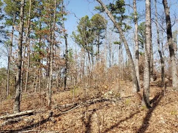 0 Gobblers Knob Rd, Steelville, MO 65565