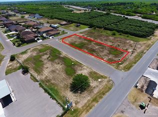 1105 N Showers Rd, Palmview, TX 78572