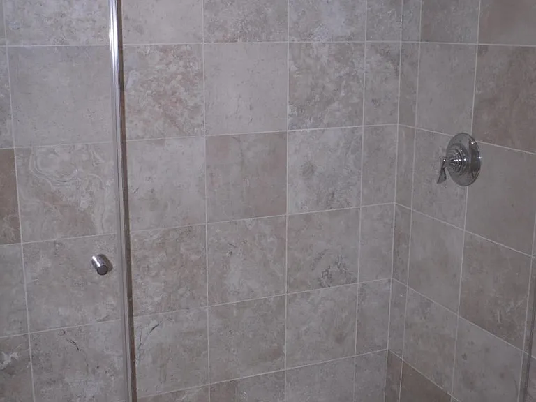 Master shower.