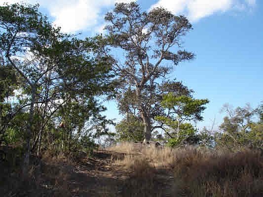 1st image of Keaka Pkwy Lot 6