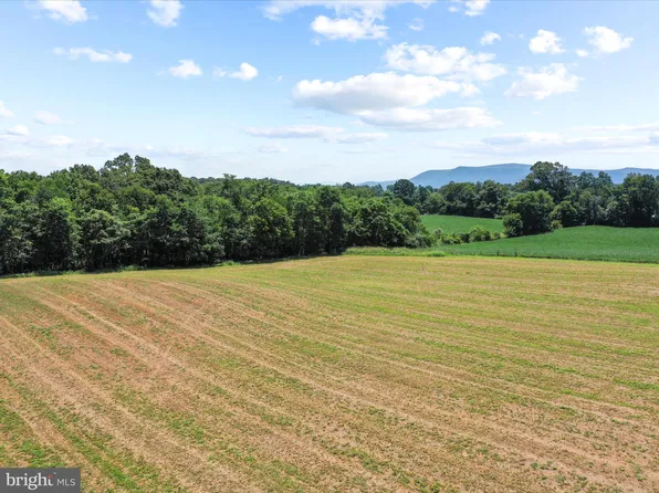 Old Grade Rd, Strasburg, VA 22657