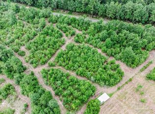 LOT 4 Annie Penton Rd, Jay, FL 32565