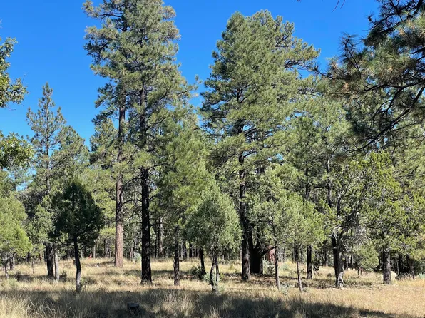 2597 San Juan Dr, Happy Jack, AZ 86024