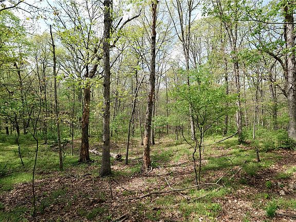3rd image of LOT-23CC Hummingbird Rd