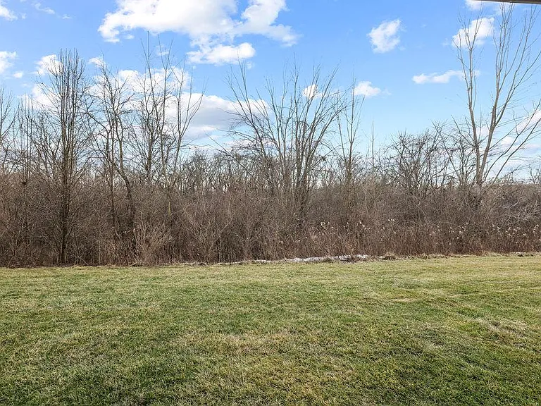 6447 Walnut Fork Dr — Photo 59