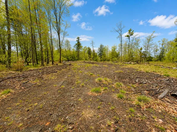 Map13Lot30 Clarks Bridge Road, Waterboro, ME 04061