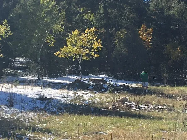 14745 Wetterhorn Peak Trail LOT 036A, Pine, CO 80470