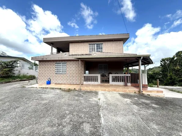 Bo Sud Sector Tamarindo Carr 171 Km #.9, Cidra, PR 00739