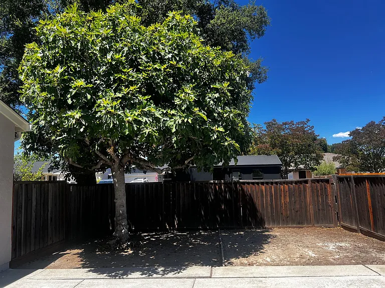 6002 Paxton Ct — Photo 26