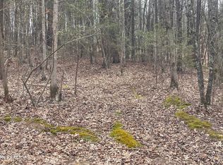 New Providence Rd, Tellico Plains, TN 37385