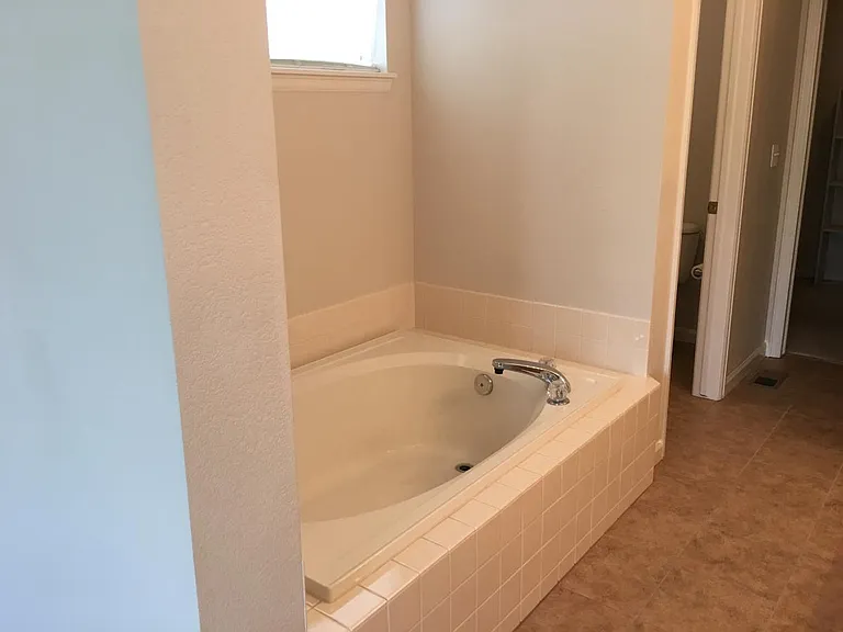 Master Bathroom Tub
