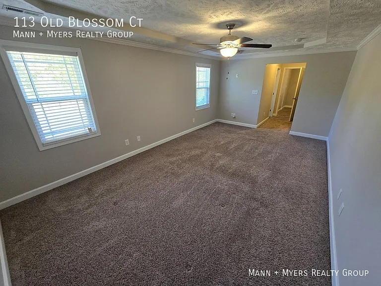 113 Old Blossom Ct — Photo 39