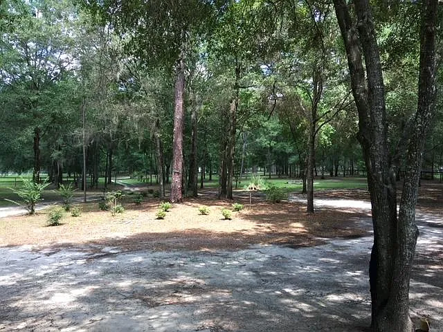 3 bed, 2557 sqft, $3,500 — Photo 3