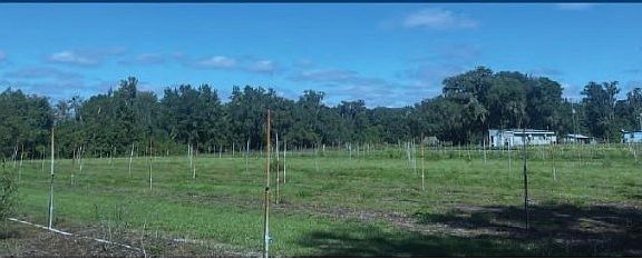 2nd image of 9333 E Bushnell Rd