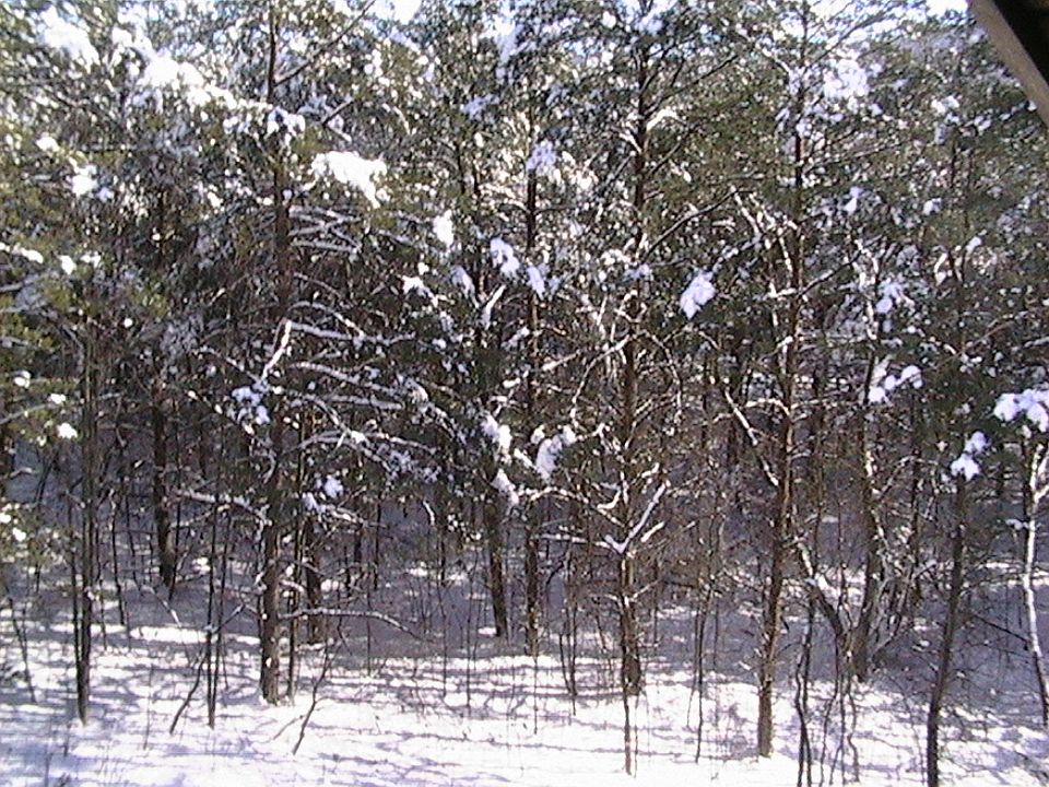 Winter view from deck